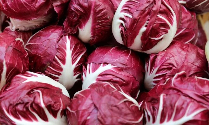 Οι κορυφαίες υπερτροφές του φθινοπώρου για υγεία και ευεξία (εικόνες)